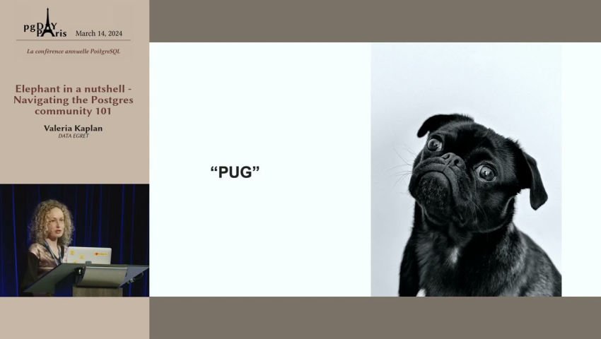 Valeria Kaplan   Elephant in a nutshell   Navigating the Postgres community 101 episode artwork