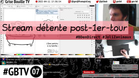 #GBTV ‑ 07 - Stream détente post-1er-tour #BDenDirect #JoliZanimaux by Grise Bouille TV